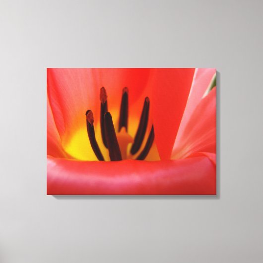 装飾芸術 赤いチューリップの花の写真 キャンバス (正面)