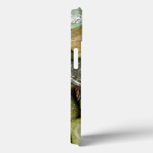 装飾造園岩 Case-Mate iPhoneケース (裏面 / 右)