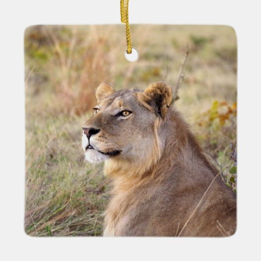 装飾 セラミックオーナメント (正面)