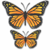 装飾（昆虫）オオカバマダラ、モナーク蝶 シール (正面)