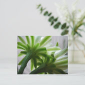 裏で ポストカード (スタンド正面)