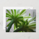 裏で ポストカード (正面/裏面)