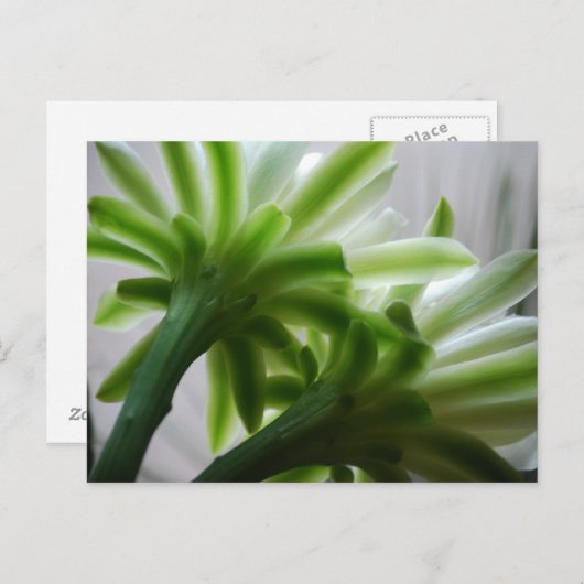 裏で ポストカード (正面/裏面)