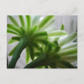 裏で ポストカード (正面)