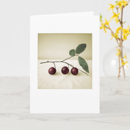 裏庭さくらんぼプラム写真絵画のグリーティングカード カード (黄色い花)