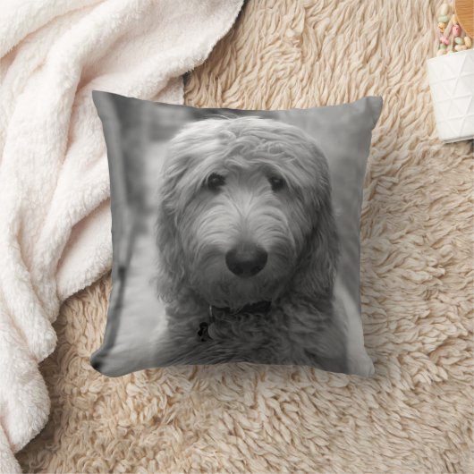 裏庭での子犬 クッション (ブランケット)