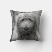 裏庭での子犬 クッション (裏面)