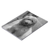 裏庭での子犬 ノートブック (左側)