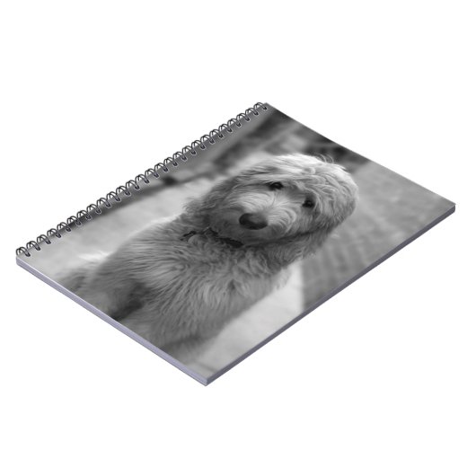 裏庭での子犬 ノートブック (左側)