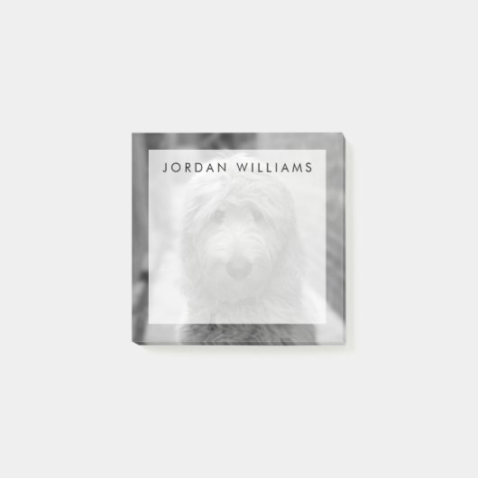 裏庭での子犬 ポストイット (正面)