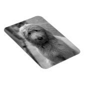 裏庭での子犬 マグネット (右側)