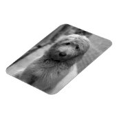 裏庭での子犬 マグネット (左側)