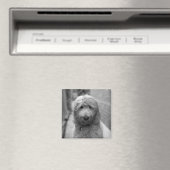 裏庭での子犬 マグネット (インサイチュ (食洗機))