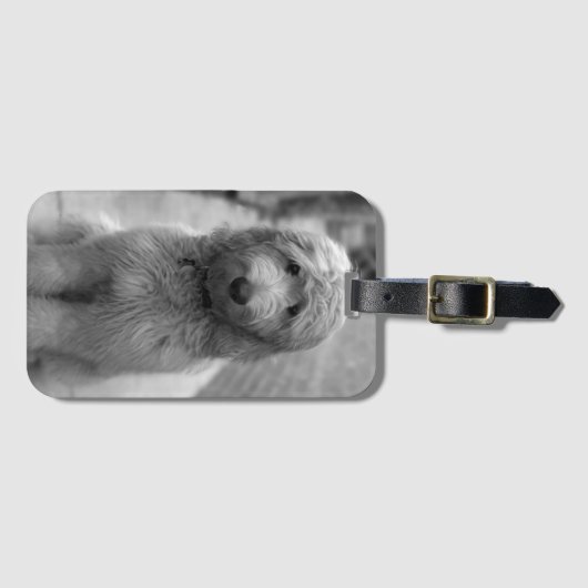 裏庭での子犬 ラゲッジタグ (正面横)