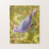 裏庭にあるしっぽの美しいハト ジグソーパズル (縦)