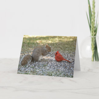 裏庭のうわさ話 カード