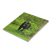 裏庭のツキノワグマ タイル (側面)