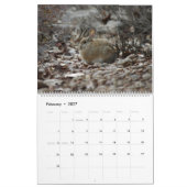 裏庭のバニーの2019年の写真のカレンダー カレンダー (2月 2027)