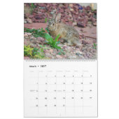裏庭のバニーの2019年の写真のカレンダー カレンダー (3月 2027)