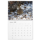裏庭のバニーの2019年の写真のカレンダー カレンダー (1月 2027)