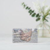 裏庭のブラウンの雌鶏 名刺 (スタンド正面)