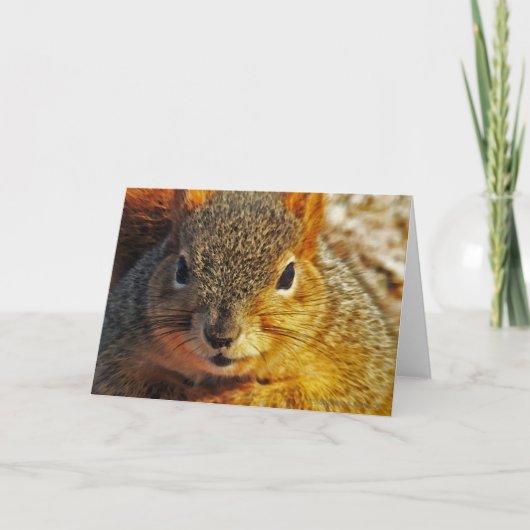 裏庭のリスの挨拶状 カード (正面)