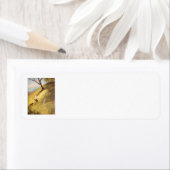 裏庭の冒険 ラベル (インサイチュ)