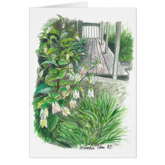 裏庭の庭 (正面)