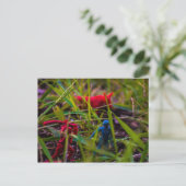 裏庭の監視 ポストカード (スタンド正面)