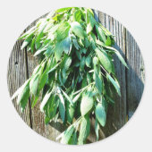 裏庭の納屋の木とセージ |国の魅力 ラウンドシール (正面)