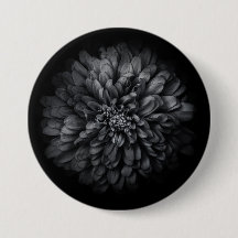 裏庭の花々白と黒68