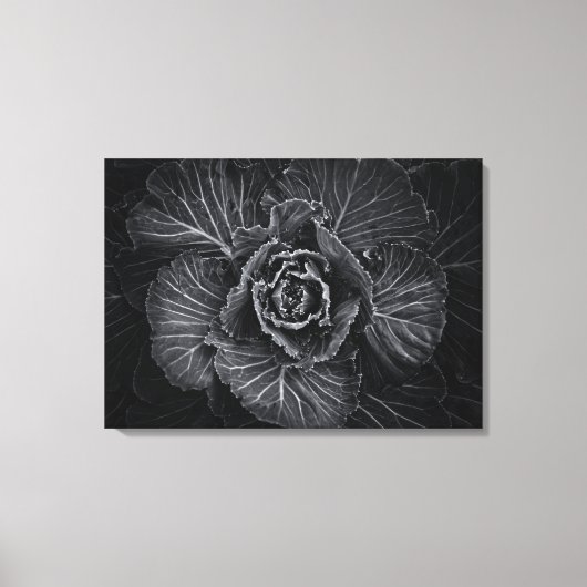 裏庭の花々白と黒No 108 キャンバスプリント (正面)