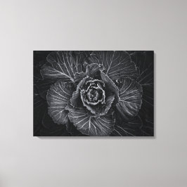 裏庭の花々白と黒No 108 キャンバスプリント