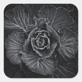 裏庭の花々白と黒No 108 スクエアシール
