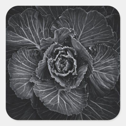 裏庭の花々白と黒No 108 スクエアシール (正面)