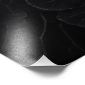 裏庭の花々白と黒No 108 フォトプリント (角)