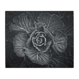 裏庭の花々白と黒No 108 メタルプリント