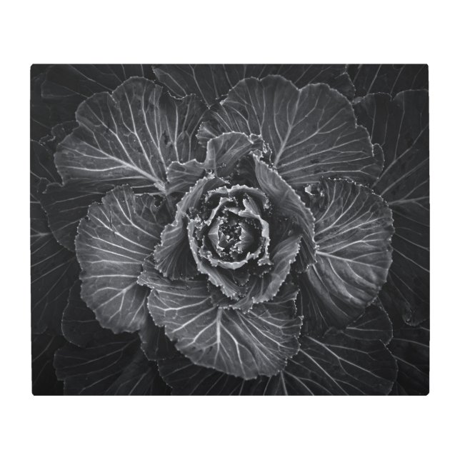 裏庭の花々白と黒No 108 メタルプリント (正面)