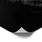 裏庭の花々黒白No 29 ポスター (角)