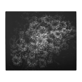 裏庭の花々黒白No 29 メタルプリント
