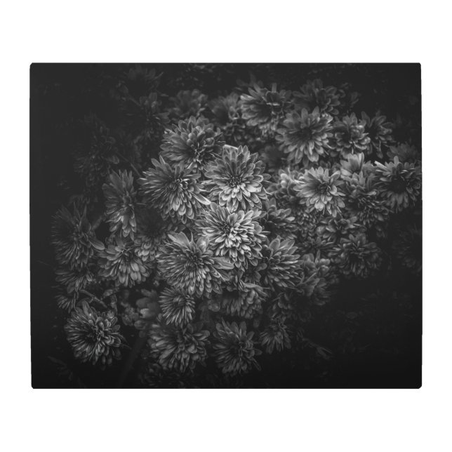 裏庭の花々黒白No 29 メタルプリント (正面)