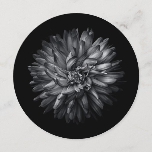 裏庭の花を白黒で20 メニュー (正面)