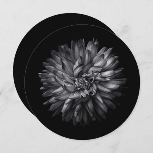 裏庭の花を白黒で20 メニュー (正面/裏面)