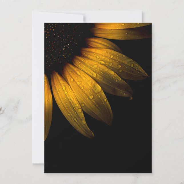 裏庭の花28ひまわり (正面)