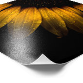 裏庭の花28ひまわり フォトプリント            (角)