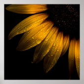 裏庭の花28ひまわり ポスター (正面)