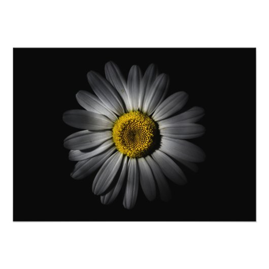 裏庭の花52色版 フォトプリント            (正面)