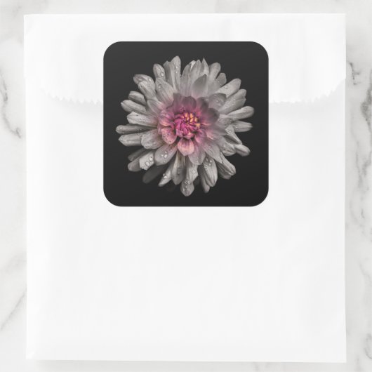 裏庭の花91色版 スクエアシール (バッグ)