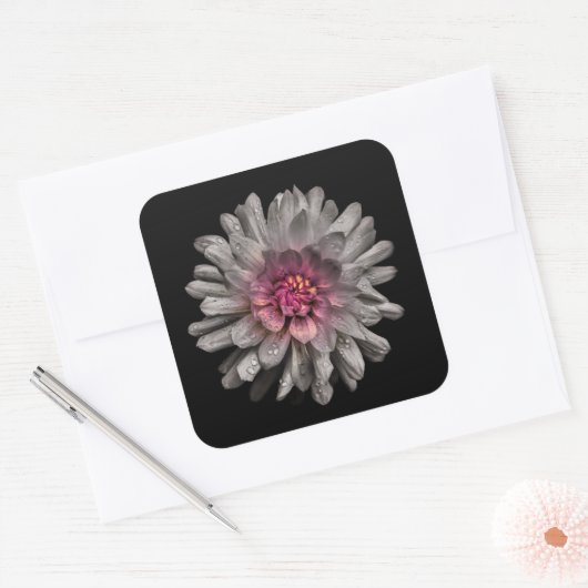 裏庭の花91色版 スクエアシール (封筒)