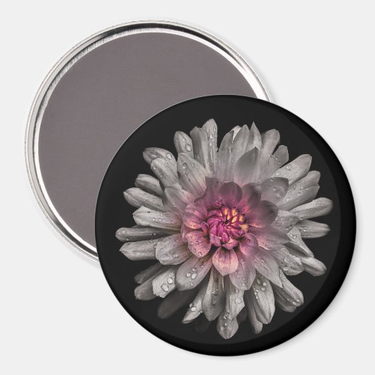 裏庭の花91色版 マグネット (正面/裏面)